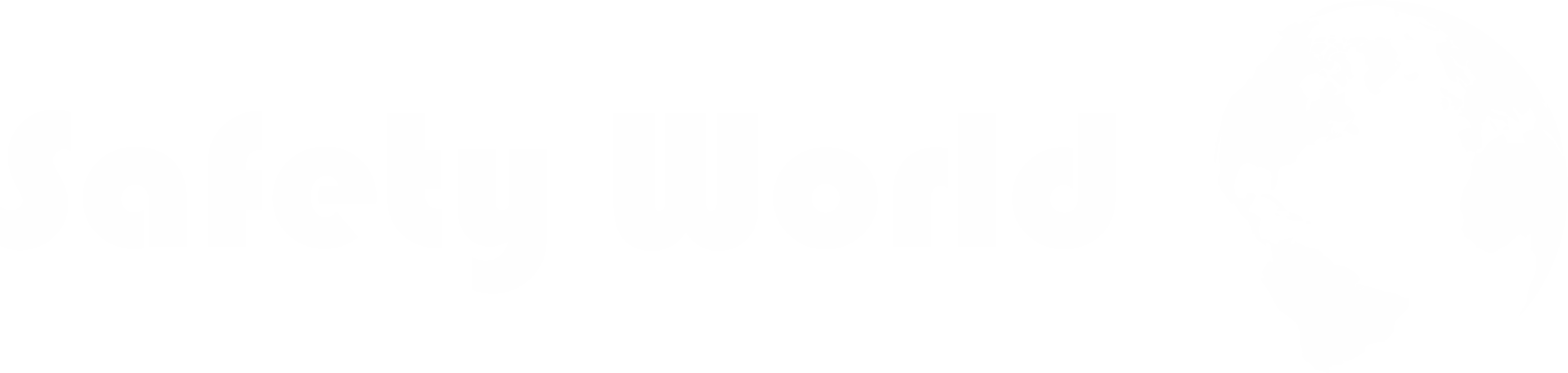 Safety World